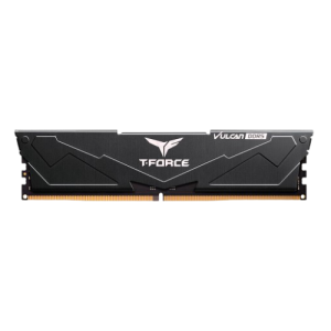 16GB T-Force VULCAN BK DDR5 5600MHz Desktop RAM Memory (16×1)